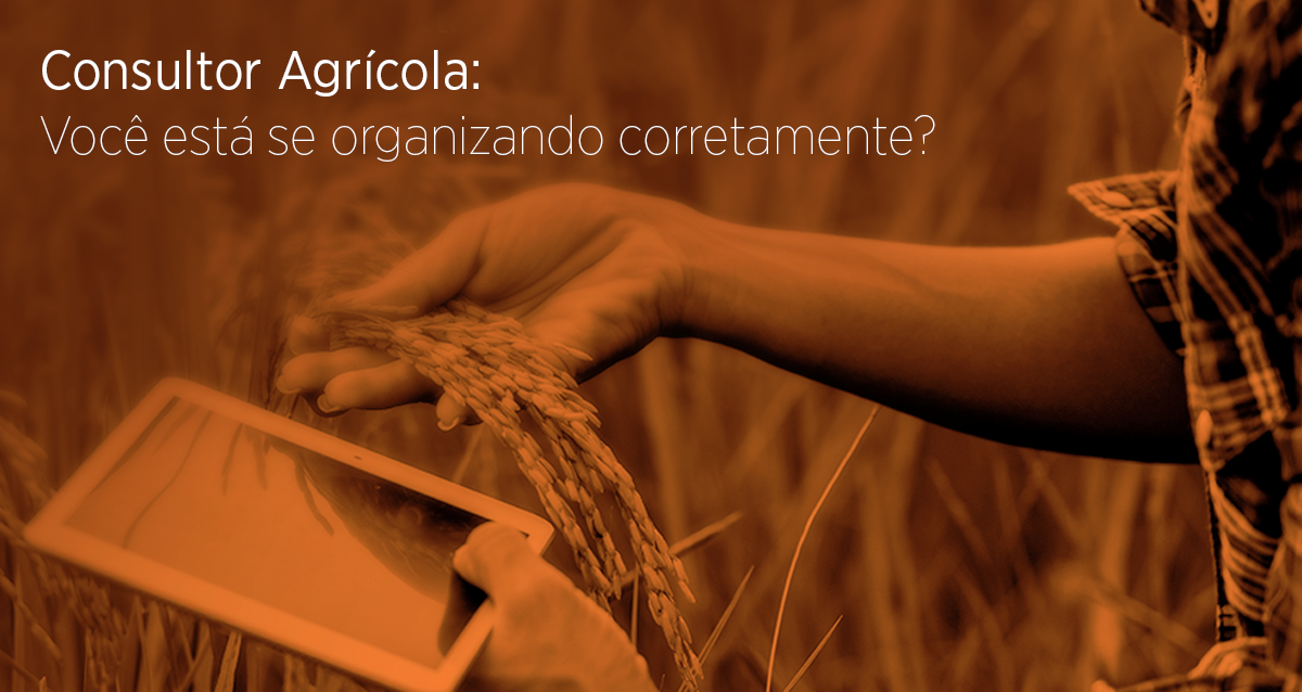 Consultor Agrícola: Você está se organizando corretamente?