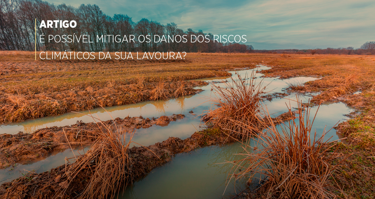 É possível mitigar os danos dos riscos climáticos da sua lavoura?