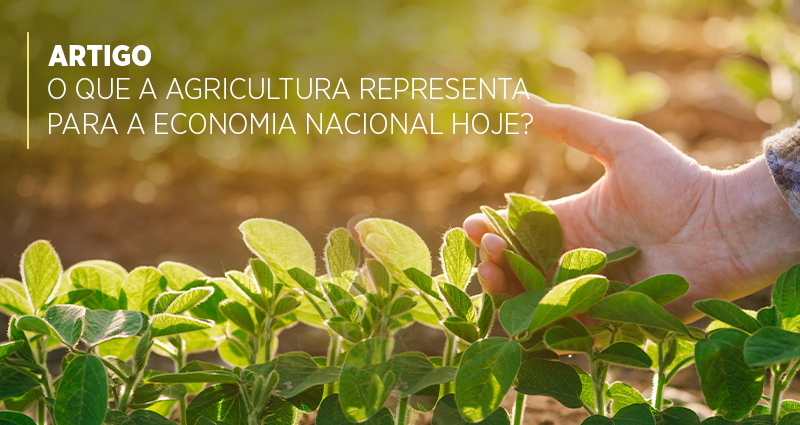 O que a Agricultura representa para a economia nacional hoje?