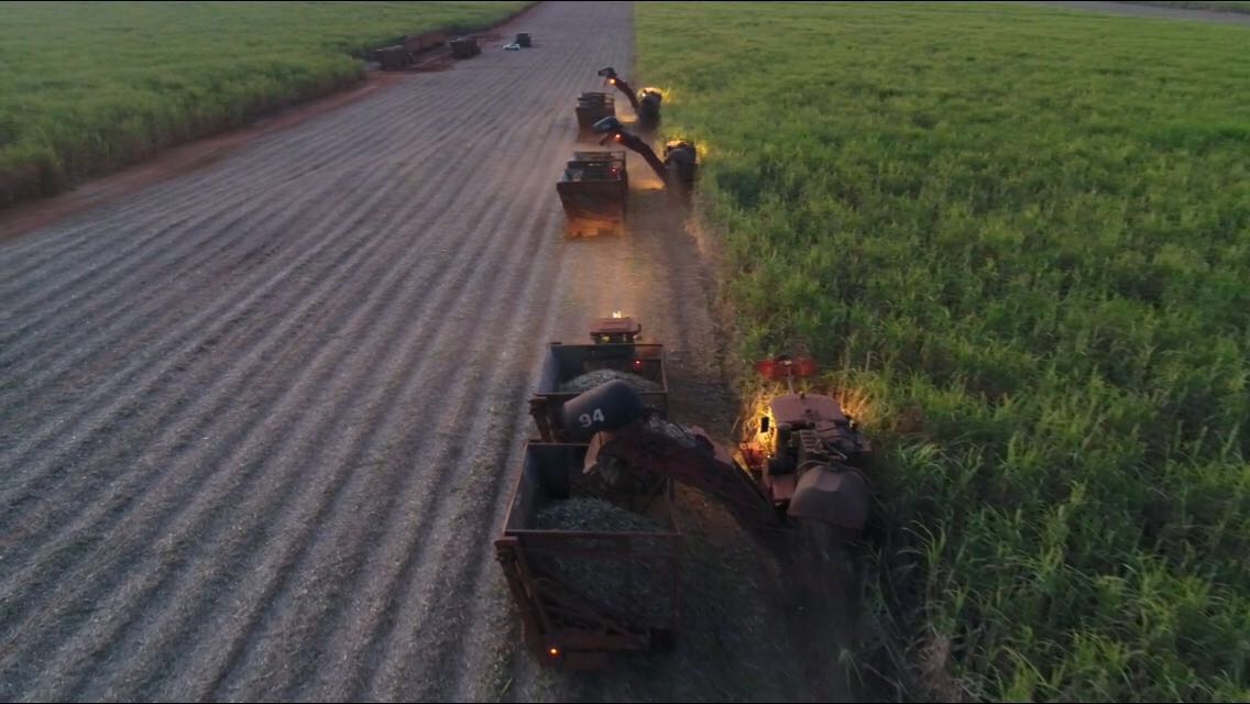 Sistematização - Fazenda da ACP