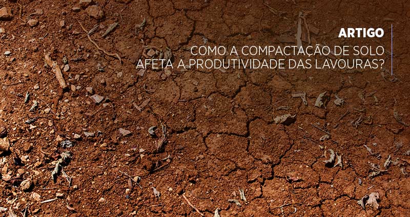 Você entende o termo compactação de solo? Descubra como afeta a produtividade das lavouras e como solucionar esse problema.